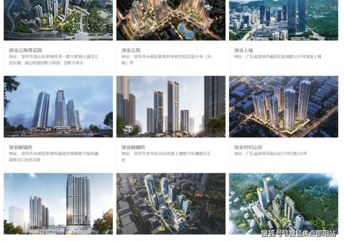 深業(yè)世紀(jì)山谷 南山核心地標(biāo)公寓，揭秘城市人居新典范